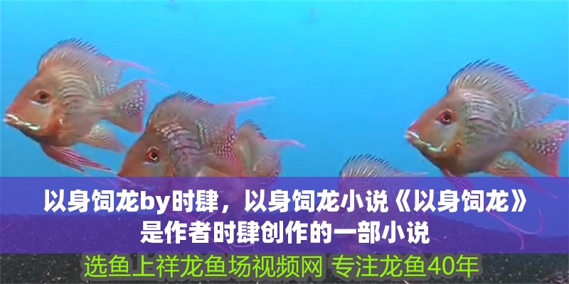 以身飼龍by時(shí)肆，以身飼龍小說《以身飼龍》是作者時(shí)肆創(chuàng)作的一部小說