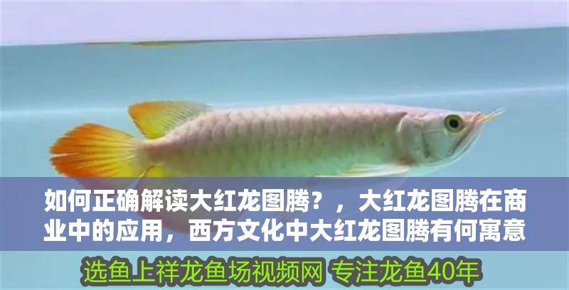 如何正確解讀大紅龍圖騰？，大紅龍圖騰在商業中的應用，西方文化中大紅龍圖騰有何寓意？ 如何正確解讀大紅龍圖騰？，大紅龍圖騰在商業中的應用，西方文化中大紅龍圖騰有何寓意？ 龍魚論壇