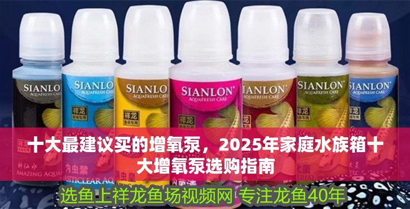 十大最建議買的增氧泵，2025年家庭水族箱十大增氧泵選購指南