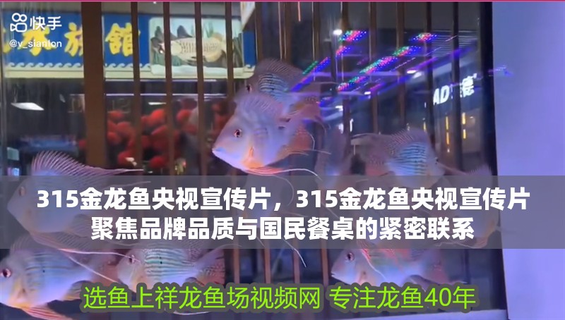 315金龍魚(yú)央視宣傳片，315金龍魚(yú)央視宣傳片聚焦品牌品質(zhì)與國(guó)民餐桌的緊密聯(lián)系