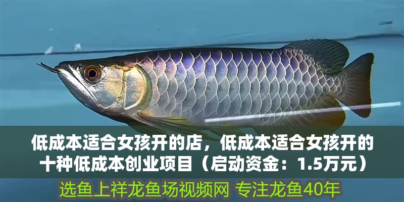 低成本適合女孩開的店，低成本適合女孩開的十種低成本創業項目（啟動資金：1.5萬元）