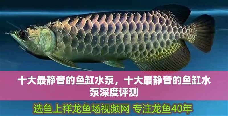 十大最靜音的魚缸水泵，十大最靜音的魚缸水泵深度評測
