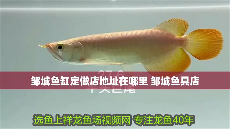 鄒城魚缸定做店地址在哪里 鄒城魚具店