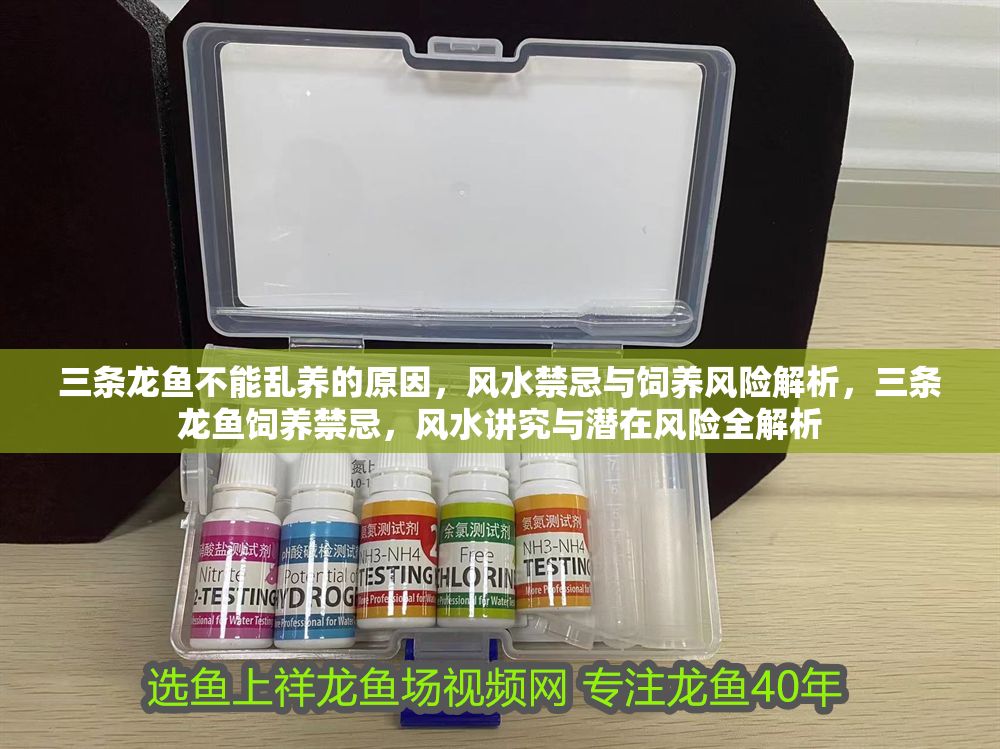 三條龍魚不能亂養的原因，風水禁忌與飼養風險解析，三條龍魚飼養禁忌，風水講究與潛在風險全解析