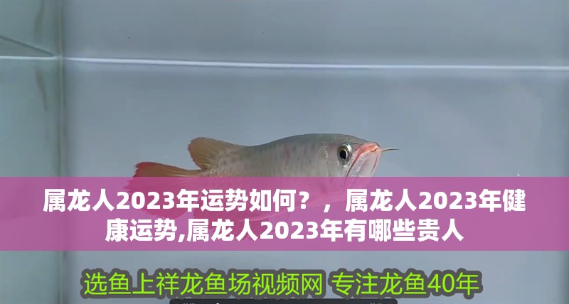 屬龍人2023年運勢如何？，屬龍人2023年健康運勢,屬龍人2023年有哪些貴人