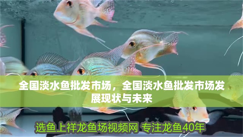全國淡水魚批發市場，全國淡水魚批發市場發展現狀與未來 全國淡水魚批發市場，全國淡水魚批發市場發展現狀與未來 龍魚論壇