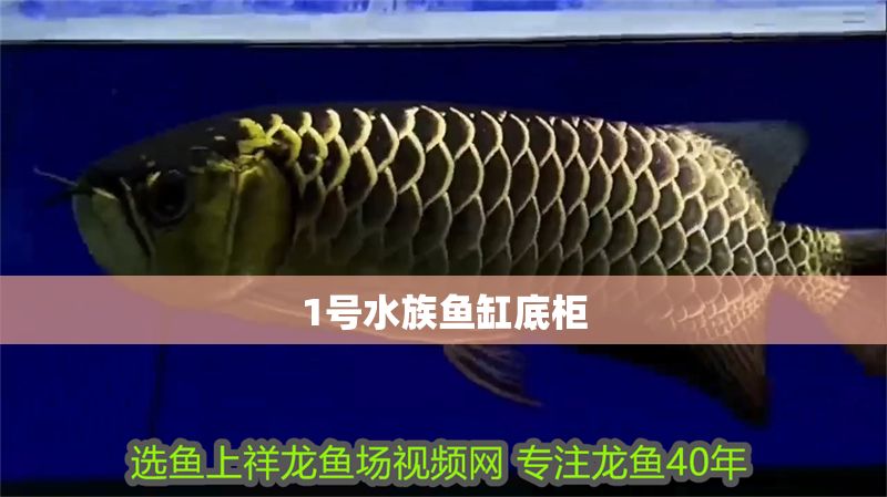 1號(hào)水族魚缸底柜