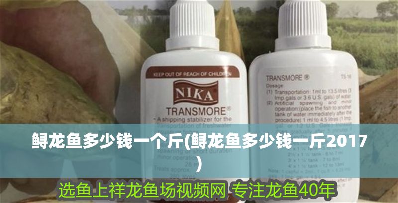 鱘龍魚多少錢一個斤(鱘龍魚多少錢一斤2017)