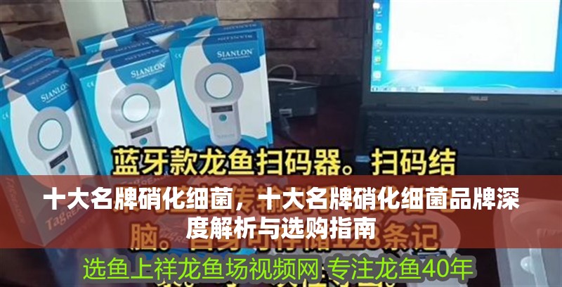 十大名牌硝化細菌，十大名牌硝化細菌品牌深度解析與選購指南 十大名牌硝化細菌，十大名牌硝化細菌品牌深度解析與選購指南 龍魚論壇