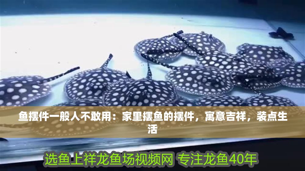 魚擺件一般人不敢用：家里擺魚的擺件，寓意吉祥，裝點生活