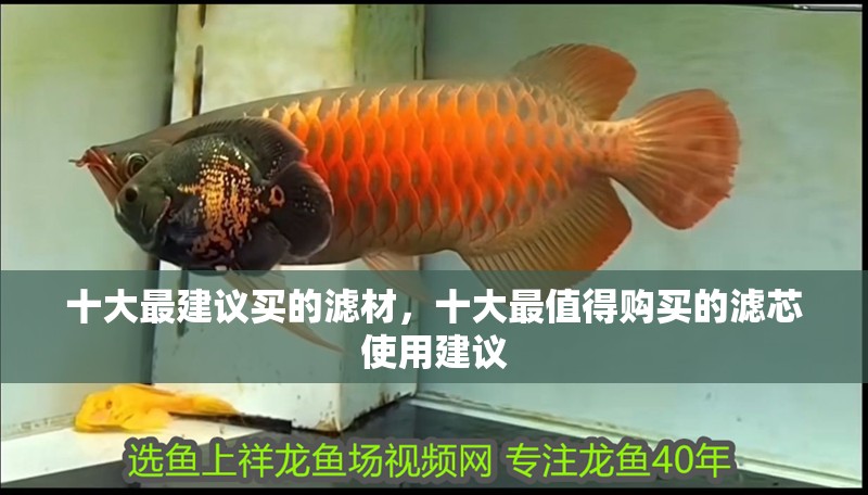 十大最建議買的濾材，十大最值得購買的濾芯使用建議 十大最建議買的濾材，十大最值得購買的濾芯使用建議 龍魚論壇