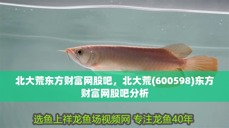 魚缸過濾器選購指南:自制魚缸過濾器魚缸上置過濾器對于養魚愛好者的必備知識 北大荒東方財富網股吧,北大荒(600598)東方財富網股吧分析 龍魚論壇 北大荒東方財富網股吧,北大荒(600598)東方財富網股吧分析 北大荒東方財富網股吧,北大荒(600598)東方財富網股吧分析 龍魚論壇