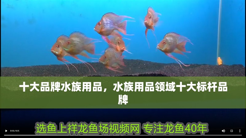 十大品牌水族用品，水族用品領(lǐng)域十大標(biāo)桿品牌