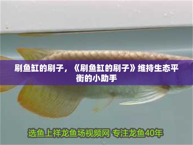 刷魚缸的刷子，《刷魚缸的刷子》維持生態(tài)平衡的小助手