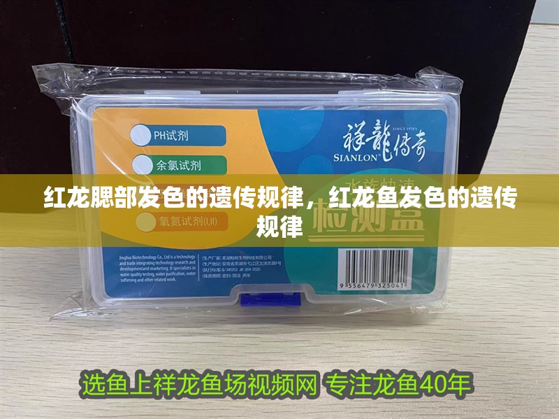 紅龍腮部發色的遺傳規律，紅龍魚發色的遺傳規律