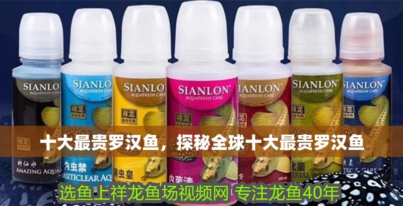 十大最貴羅漢魚，探秘全球十大最貴羅漢魚
