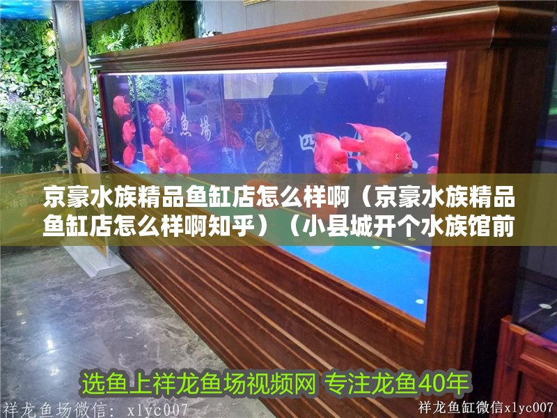 京豪水族精品魚缸店怎么樣啊（京豪水族精品魚缸店怎么樣啊知乎）（小縣城開個水族館前景怎么樣）