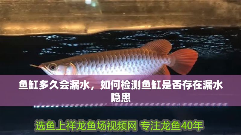 魚缸多久會漏水，如何檢測魚缸是否存在漏水隱患
