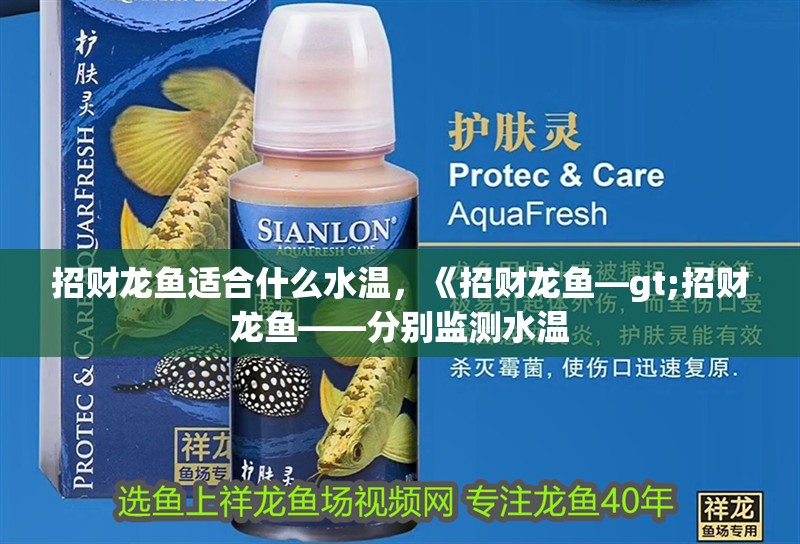 招財龍魚適合什么水溫，《招財龍魚—gt;招財龍魚——分別監測水溫