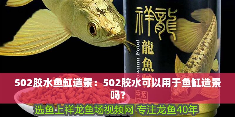 502膠水魚缸造景：502膠水可以用于魚缸造景嗎？