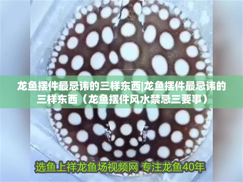 龍魚擺件最忌諱的三樣?xùn)|西|龍魚擺件最忌諱的三樣?xùn)|西（龍魚擺件風(fēng)水禁忌三要事）