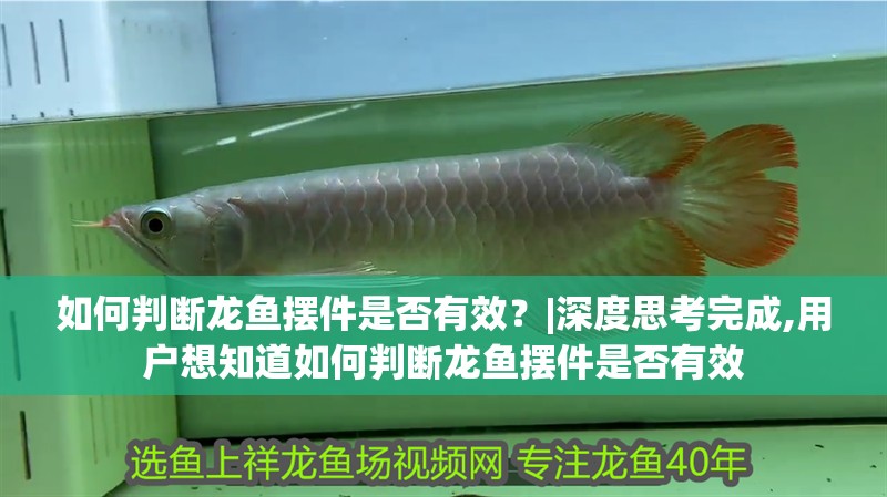 如何判斷龍魚擺件是否有效？|深度思考完成,用戶想知道如何判斷龍魚擺件是否有效