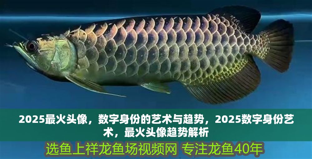 2025最火頭像，數字身份的藝術與趨勢，2025數字身份藝術，最火頭像趨勢解析