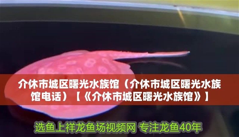 介休市城區曙光水族館（介休市城區曙光水族館電話）【《介休市城區曙光水族館》】