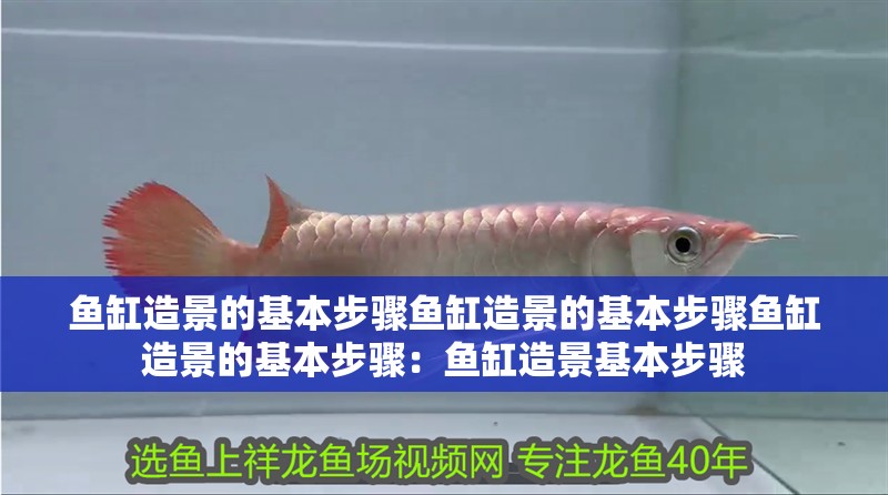 魚缸造景的基本步驟魚缸造景的基本步驟魚缸造景的基本步驟：魚缸造景基本步驟