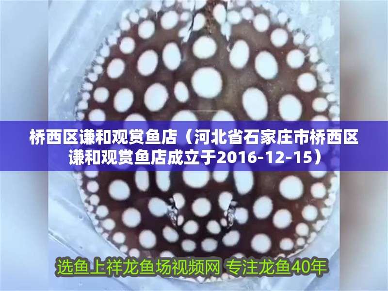 橋西區謙和觀賞魚店（河北省石家莊市橋西區謙和觀賞魚店成立于2016-12-15）