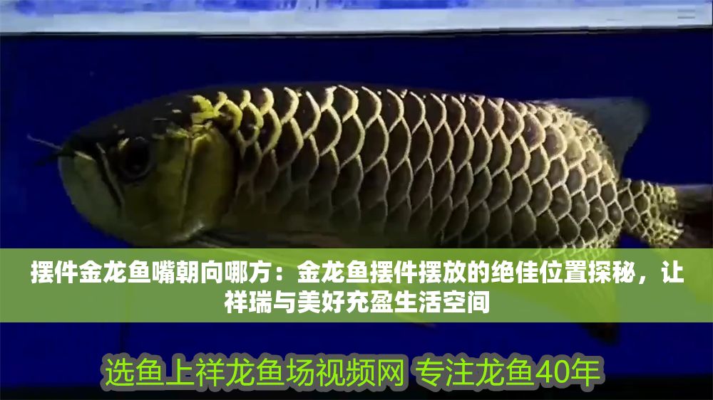 擺件金龍魚嘴朝向哪方：金龍魚擺件擺放的絕佳位置探秘，讓祥瑞與美好充盈生活空間