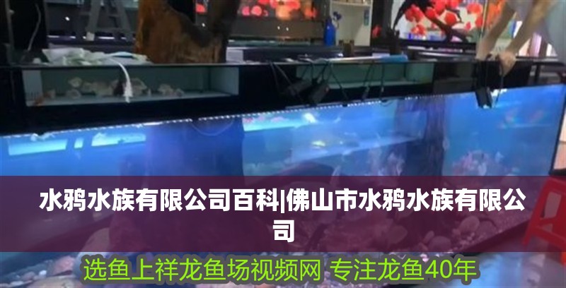 魚缸用增氧泵價格是多少:魚缸增氧機-xtrac增氧機-xtrac增氧機 水鴉水族有限公司百科|佛山市水鴉水族有限公司 龍魚論壇 水鴉水族有限公司百科|佛山市水鴉水族有限公司 水鴉水族有限公司百科|佛山市水鴉水族有限公司 龍魚論壇