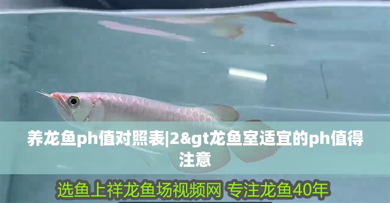 養龍魚ph值對照表|2&gt龍魚室適宜的ph值得注意