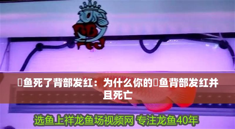 魟魚(yú)死了背部發(fā)紅：為什么你的魟魚(yú)背部發(fā)紅并且死亡