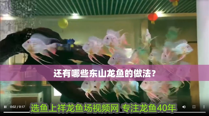 還有哪些東山龍魚的做法？ 還有哪些東山龍魚的做法？ 龍魚百科