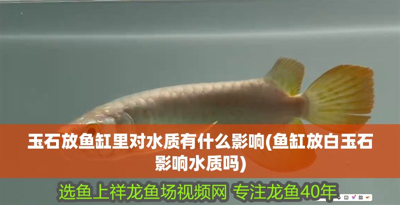 玉石放魚(yú)缸里對(duì)水質(zhì)有什么影響(魚(yú)缸放白玉石影響水質(zhì)嗎)