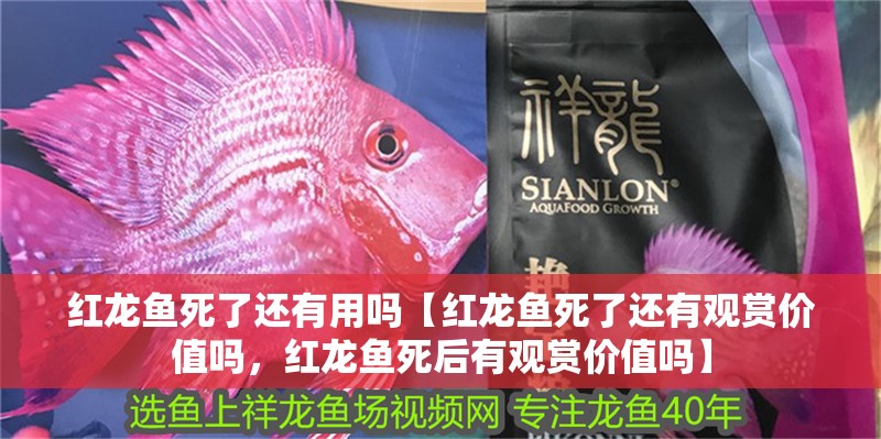 紅龍魚死了還有用嗎【紅龍魚死了還有觀賞價值嗎，紅龍魚死后有觀賞價值嗎】