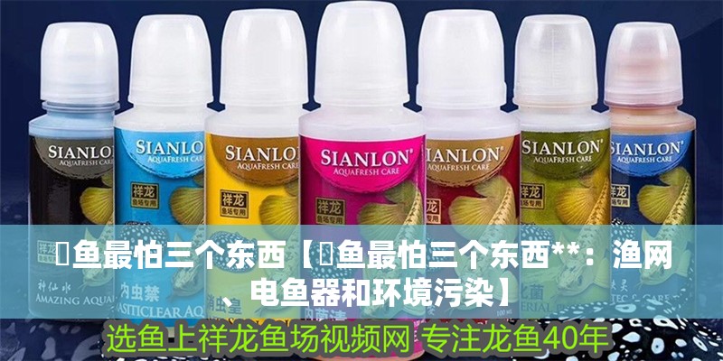 鳡魚最怕三個東西【鳡魚最怕三個東西**：漁網、電魚器和環境污染】