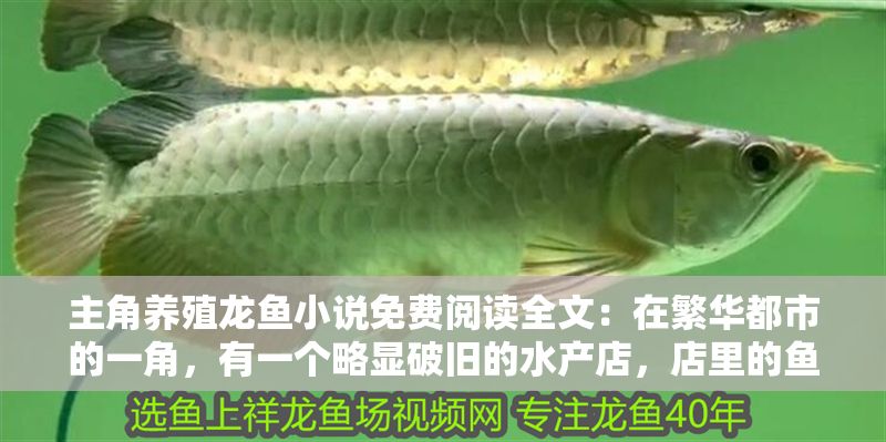 主角養殖龍魚小說免費閱讀全文：在繁華都市的一角，有一個略顯破舊的水產店，店里的魚缸中養著各種魚類，而店主林羽，是個看似平凡卻有著獨特秘密的年輕人 主角養殖龍魚小說免費閱讀全文：在繁華都市的一角，有一個略顯破舊的水產店，店里的魚缸中養著各種魚類，而店主林羽，是個看似平凡卻有著獨特秘密的年輕人 龍魚百科 第1張