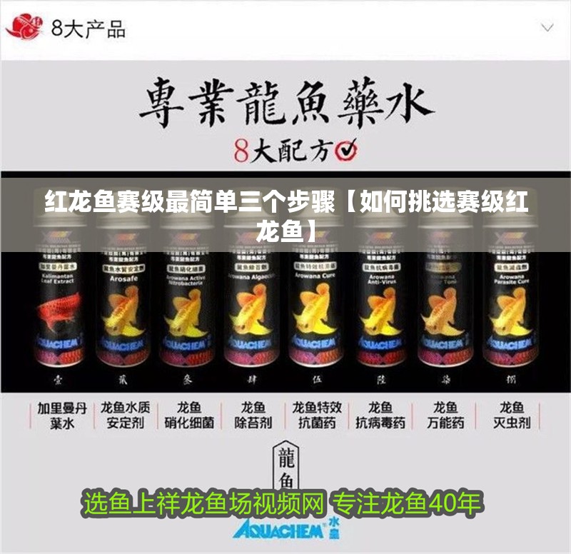 紅龍魚賽級最簡單三個步驟【如何挑選賽級紅龍魚】