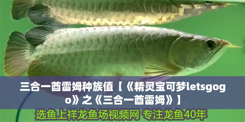 紅龍魚用黃燈烤有用嗎 三合一酋雷姆種族值【《精靈寶可夢letsgogo》之《三合一酋雷姆》】 龍魚論壇 三合一酋雷姆種族值【《精靈寶可夢letsgogo》之《三合一酋雷姆》】 三合一酋雷姆種族值【《精靈寶可夢letsgogo》之《三合一酋雷姆》】 龍魚論壇