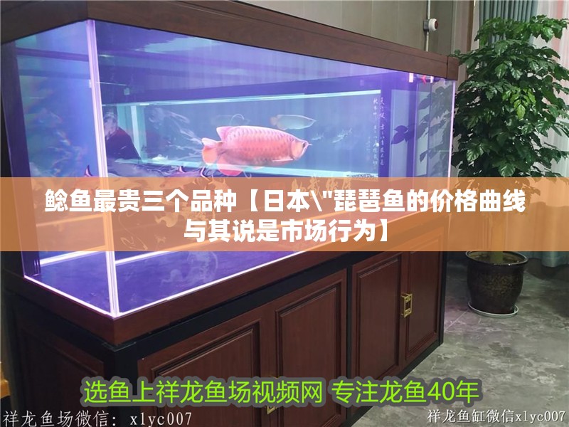 鯰魚最貴三個品種【日本\