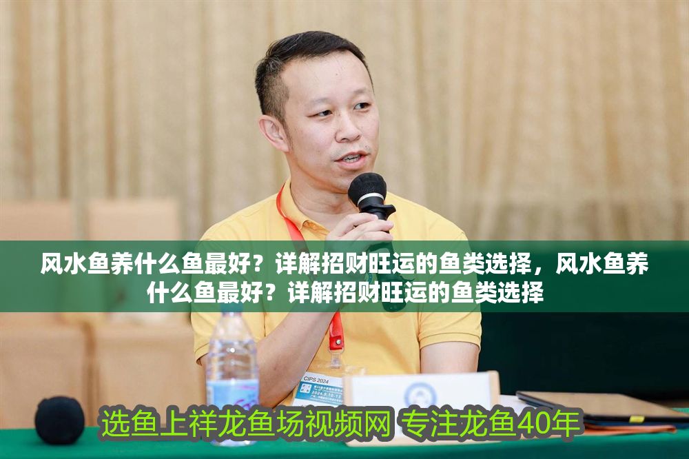 風水魚養什么魚最好？詳解招財旺運的魚類選擇，風水魚養什么魚最好？詳解招財旺運的魚類選擇