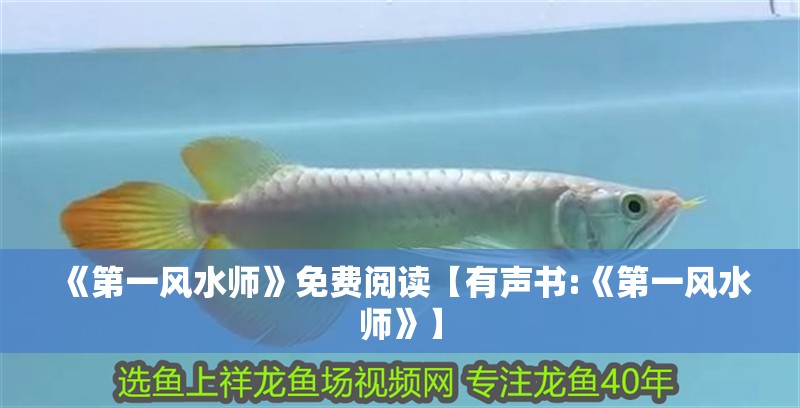 《第一風(fēng)水師》免費(fèi)閱讀【有聲書:《第一風(fēng)水師》】