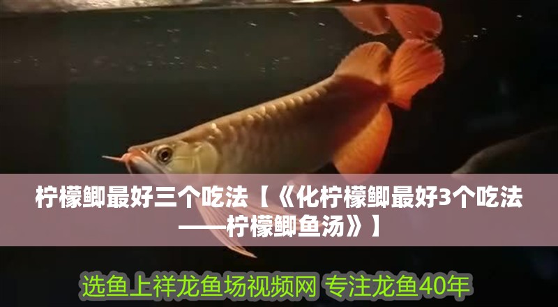 檸檬鯽最好三個吃法【《化檸檬鯽最好3個吃法——檸檬鯽魚湯》】 檸檬鯽最好三個吃法【《化檸檬鯽最好3個吃法——檸檬鯽魚湯》】 龍魚論壇