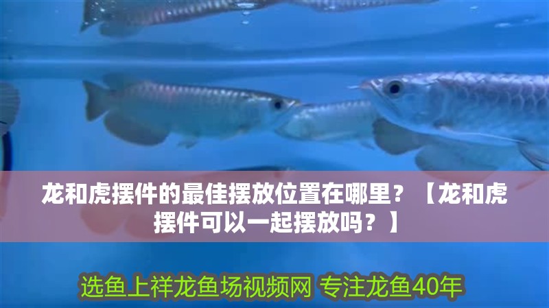 龍和虎擺件的最佳擺放位置在哪里？【龍和虎擺件可以一起擺放嗎？】