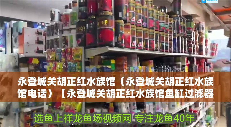 永登城關(guān)胡正紅水族館（永登城關(guān)胡正紅水族館電話）【永登城關(guān)胡正紅水族館魚缸過濾器清洗后不出水是怎么回事】