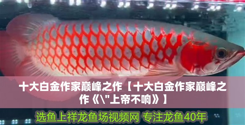 十大白金作家?guī)p峰之作【十大白金作家?guī)p峰之作《\