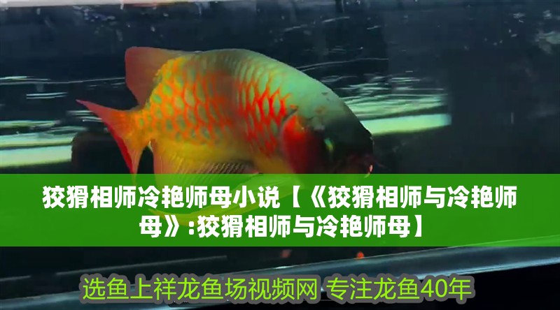 狡猾相師冷艷師母小說【《狡猾相師與冷艷師母》:狡猾相師與冷艷師母】