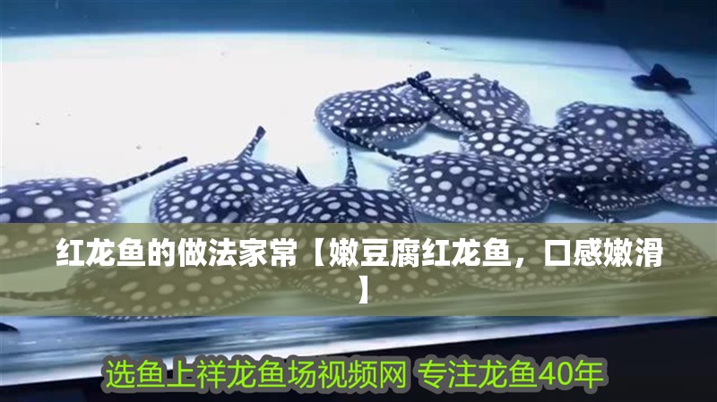 魚(yú)缸過(guò)濾器選購(gòu)指南:自制魚(yú)缸過(guò)濾器魚(yú)缸上置過(guò)濾器對(duì)于養(yǎng)魚(yú)愛(ài)好者的必備知識(shí) 紅龍魚(yú)的做法家常【嫩豆腐紅龍魚(yú),口感嫩滑】 水族問(wèn)答 紅龍魚(yú)的做法家常【嫩豆腐紅龍魚(yú),口感嫩滑】 紅龍魚(yú)的做法家常【嫩豆腐紅龍魚(yú),口感嫩滑】 水族問(wèn)答